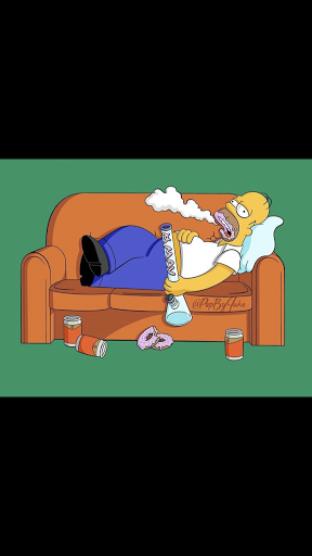 Hookah Bar «Prince Hookah Lounge», reviews and photos, 116 Old Morgantown Rd, Bowling Green, KY 42101, USA