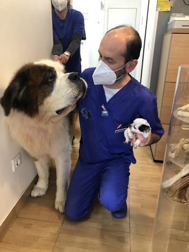 Clínica Veterinaria 