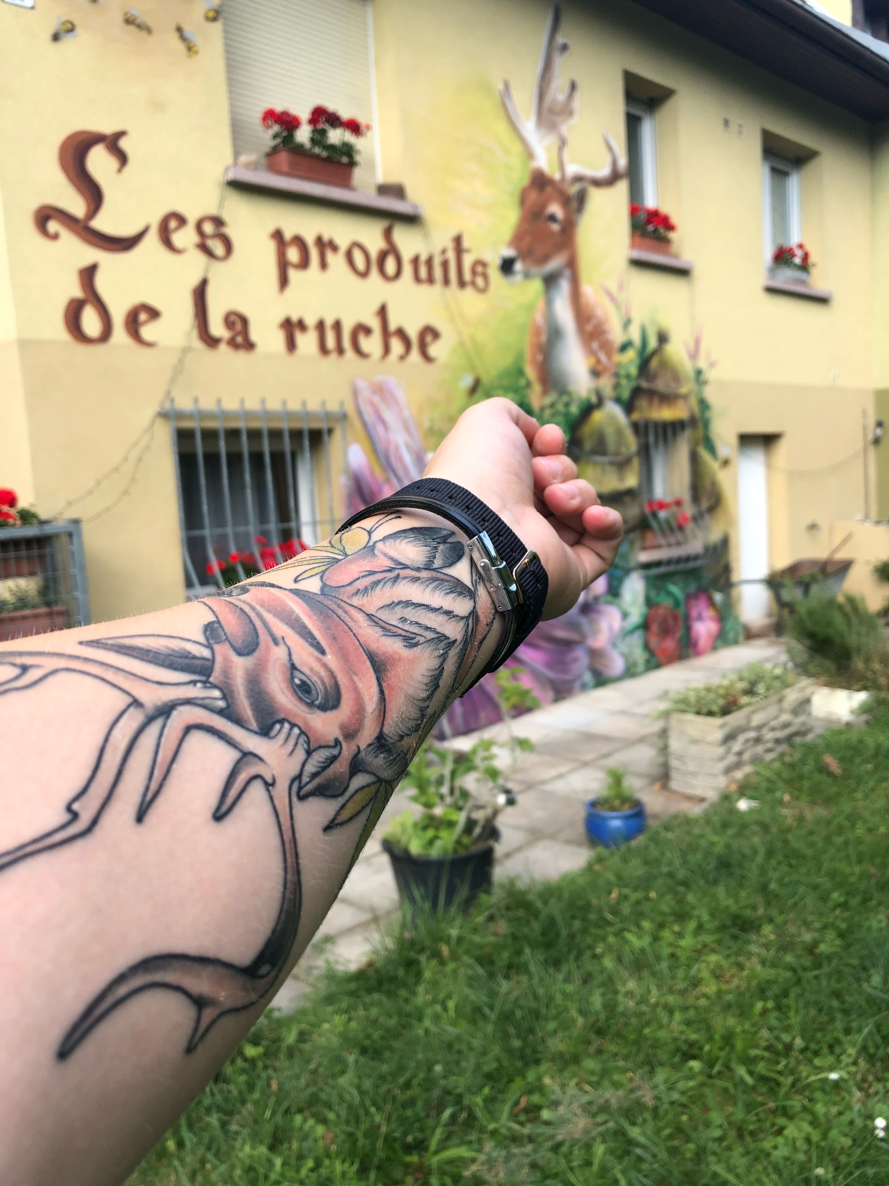Photo n° 1 de l'avis de Enzo.a fait le 17/08/2020 à 12:18