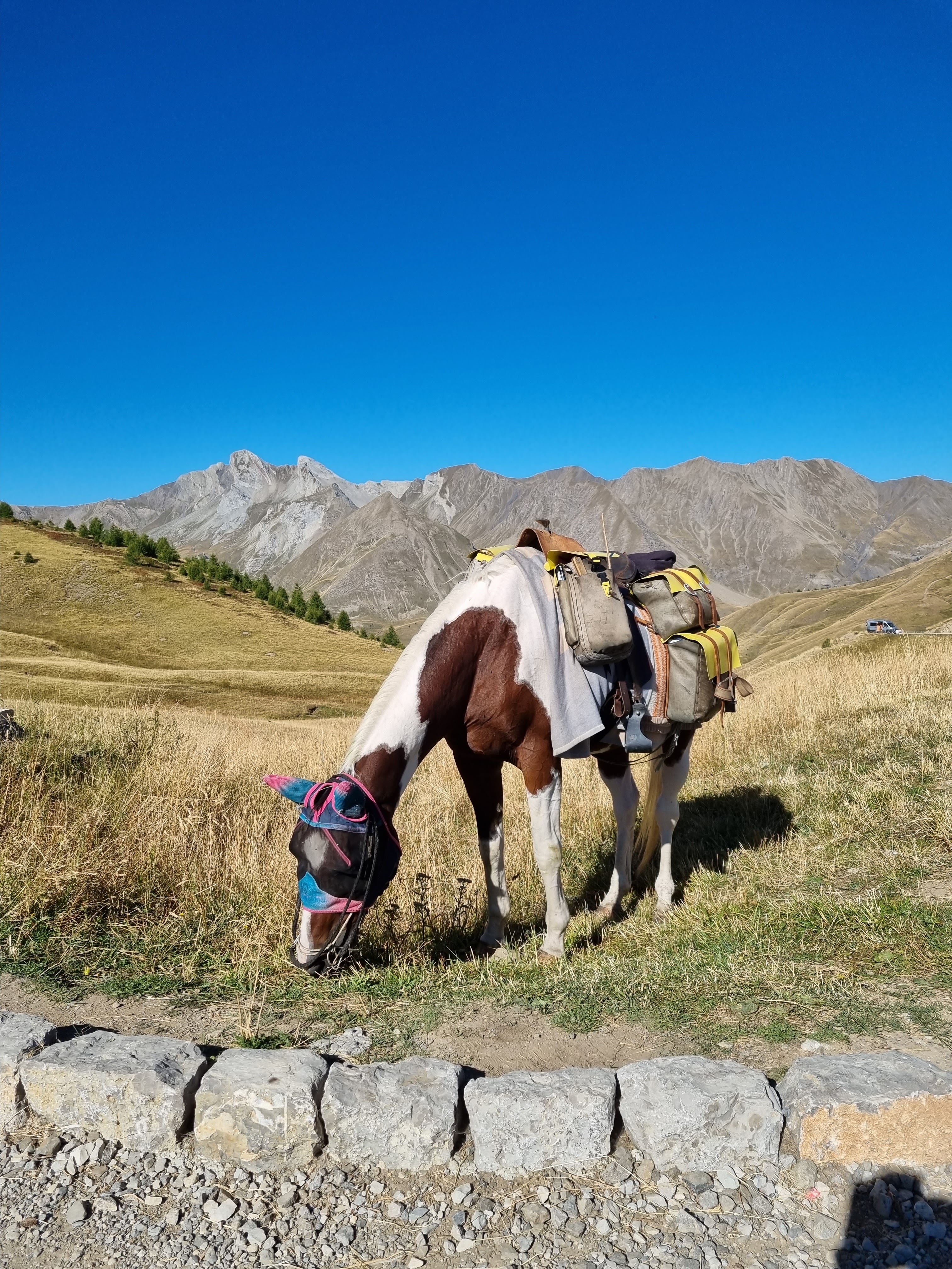 Photo n° 1 de l'avis de Richard.a fait le 10/09/2023 à 16:46