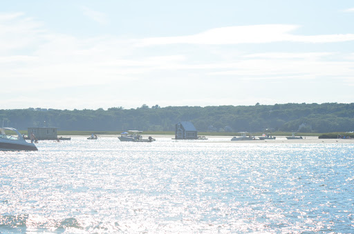 Whale Watching Tour Agency «Cape Ann Whale Watch», reviews and photos, 415 Main St, Gloucester, MA 01930, USA