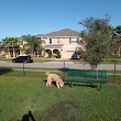 The Reserve at Sawgrass Dog Park