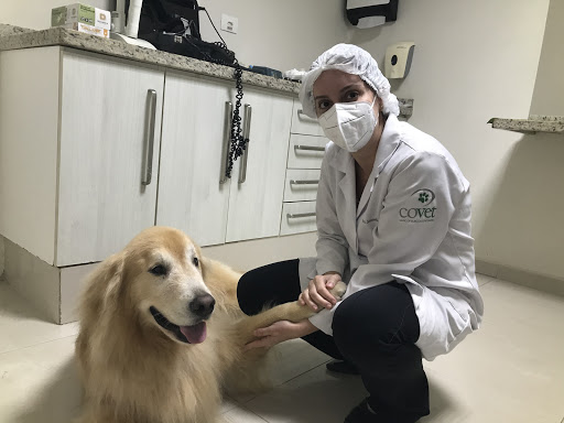 Covet - Centro Oftalmológico Veterinário em Santos - SP