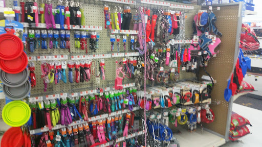 Department Store «Walmart Supercenter», reviews and photos, 1200 Marketplace Dr, Rochester, NY 14623, USA