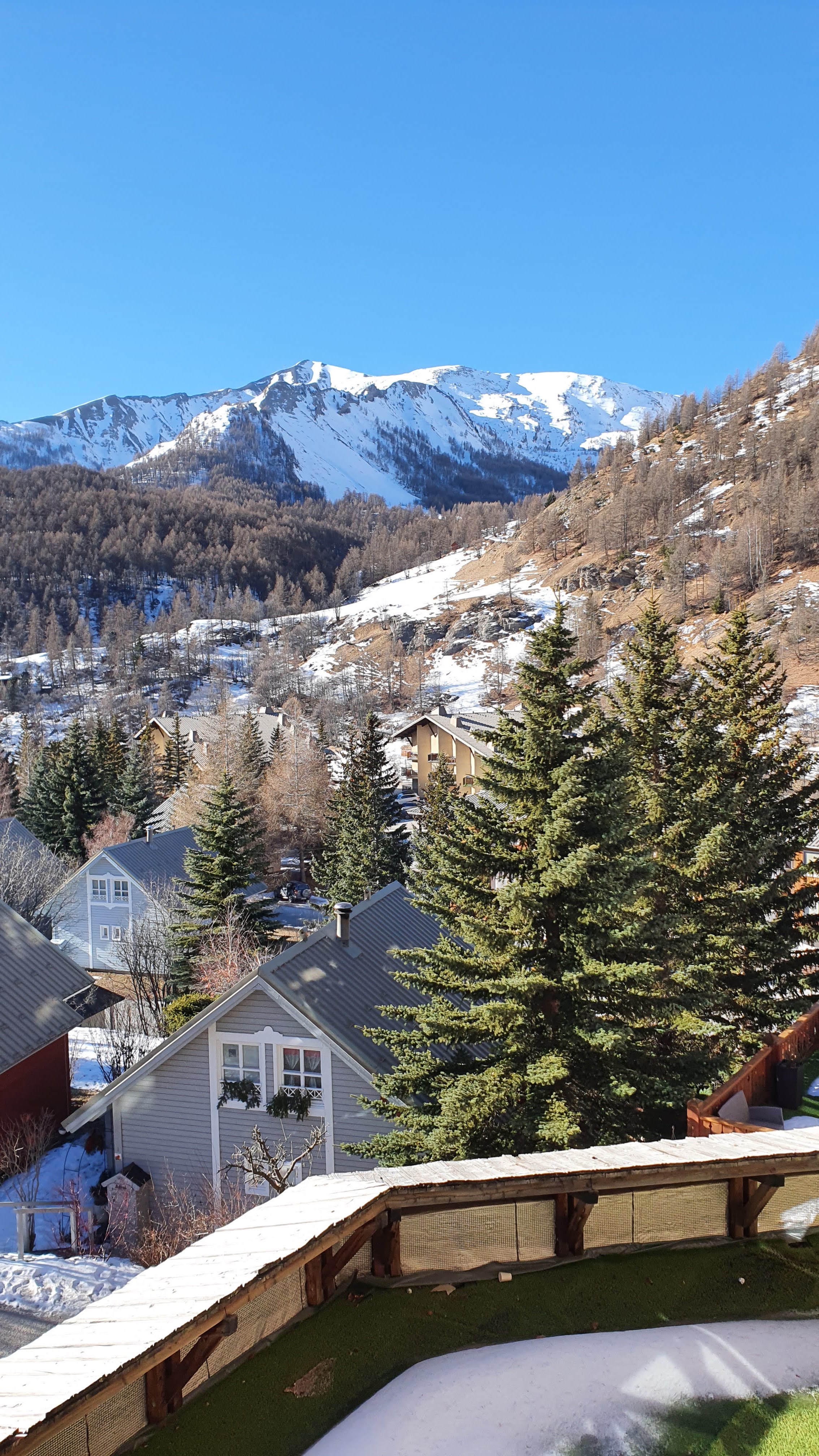 Photo n° 2 de l'avis de Sorin.a fait le 25/01/2022 à 14:35
