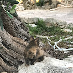 Photo n°10 de l'avis de eva.c fait le 02/09/2021 à 13:26 sur le  Tenute Al Bano à Cellino San Marco