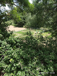 Photo n°9 de Intermer à Bouzigues ()