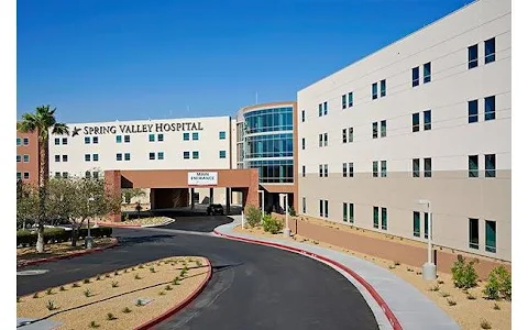 Spring Valley Hospital Medical Center image