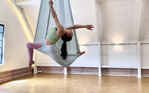 Fl'air Studios - Aerial Arts and Fitness image