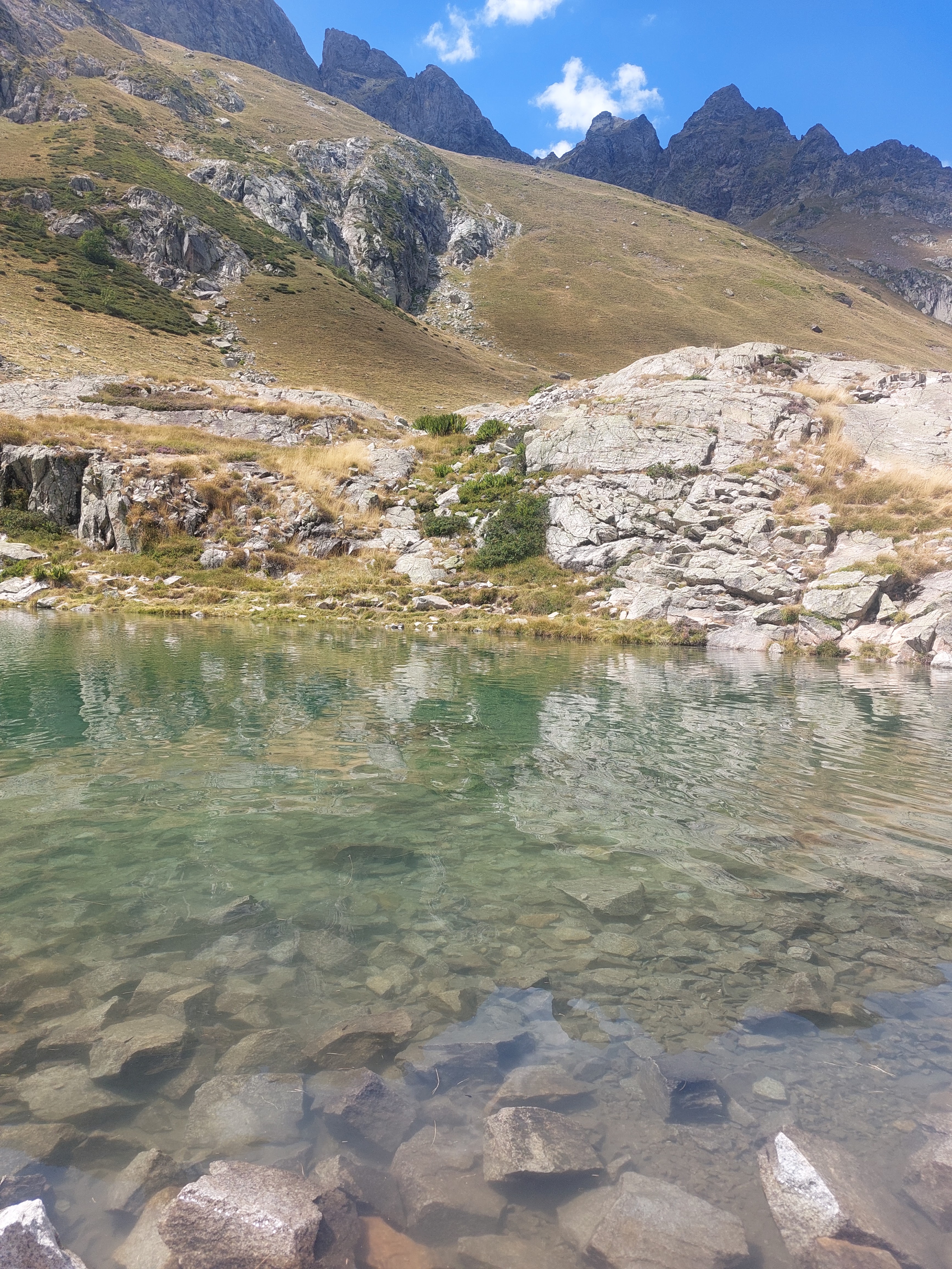 Photo n° 4 de l'avis de margo.h fait le 21/08/2023 à 19:17