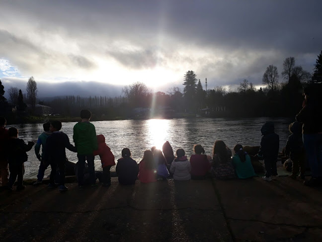 Escuelita Libre y Feliz Alma Mater - Valdivia