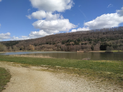 Lac De Besain à Besain