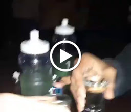 The Social Bar Parrot photo