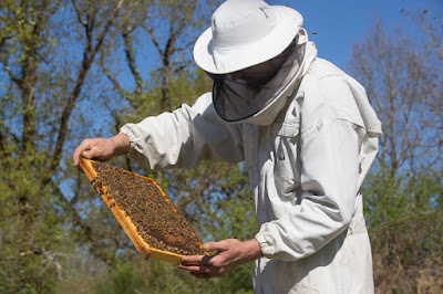 L' Abeille de Brenne, Miels et produits de la Ruche, Apiculteurs producteurs à Azay-le-Ferron