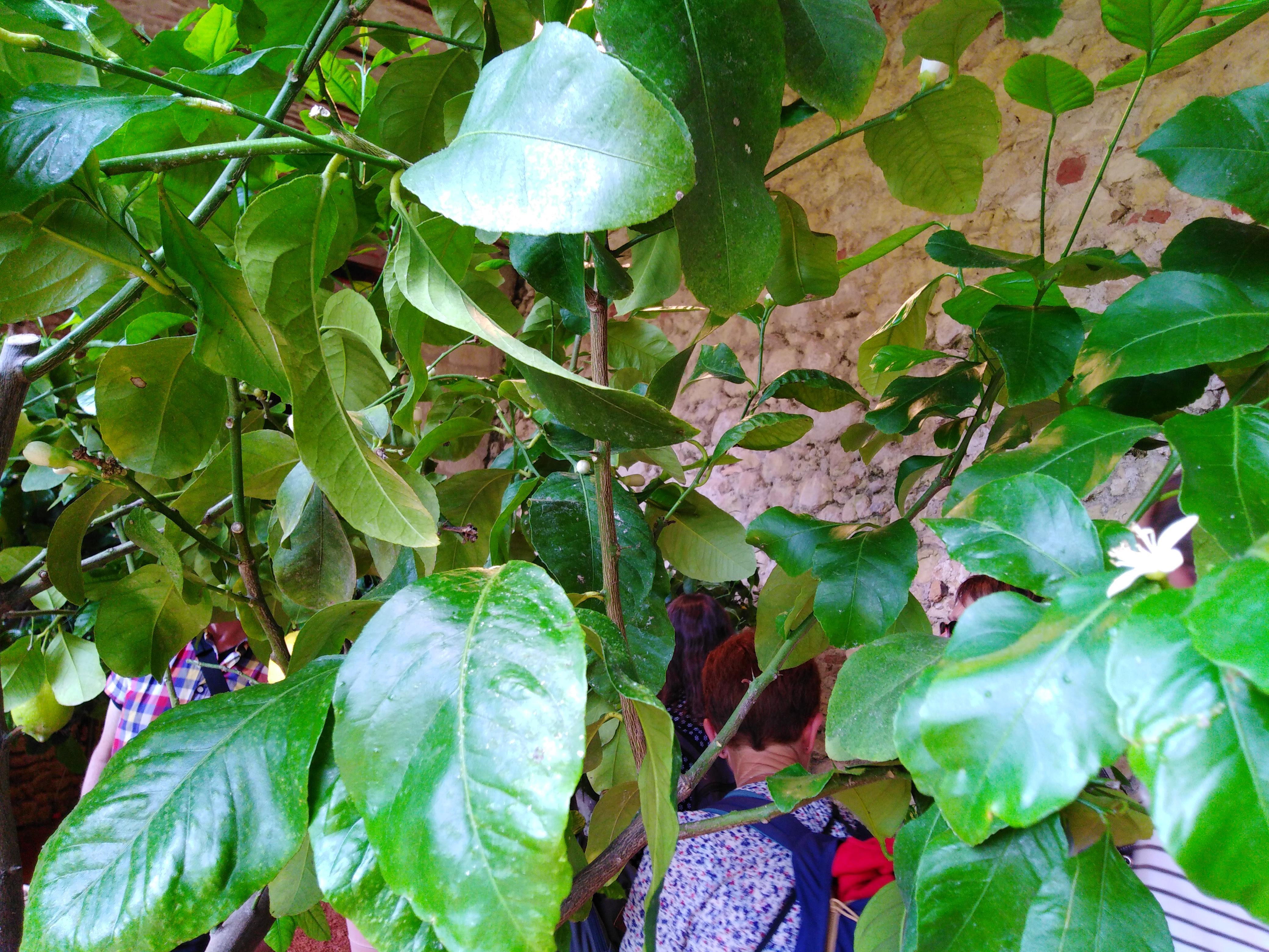 Photo n° 15 de l'avis de Josette.i fait le 07/06/2019 à 07:16