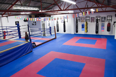 Thurles Martial Arts Academy: K-1 Kickboxing - Muay Thai - Brazilian Jiu Jitsu