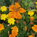 Photo n°2 de l'avis de Lisa.a fait le 13/09/2020 à 06:55 sur le  Agriturismo Casale S.Antonio à Cascia