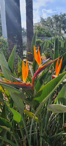 Park «Coral Gate Park», reviews and photos, Coral Lake Dr, Margate, FL 33063, USA