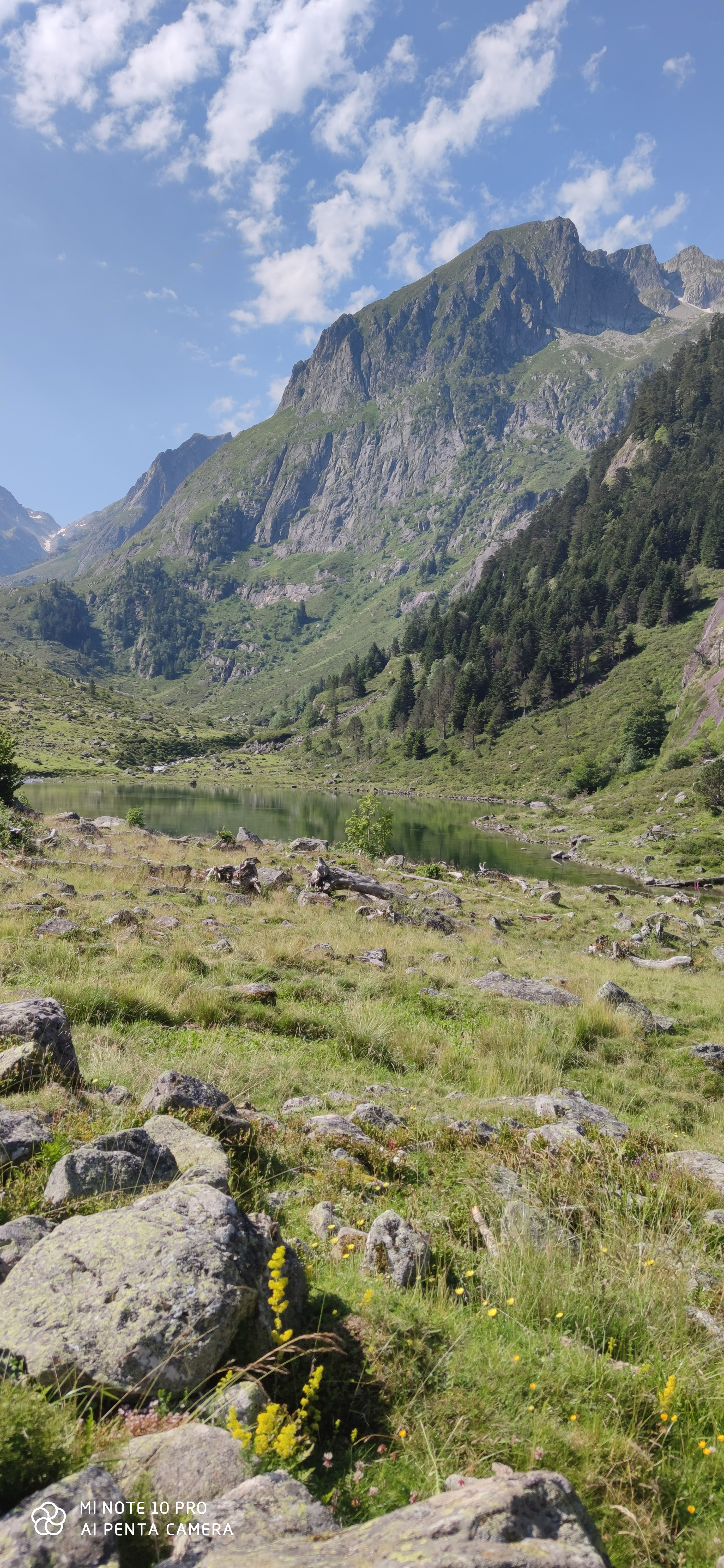 Photo n° 3 de l'avis de Vincent.e fait le 20/07/2020 à 17:33