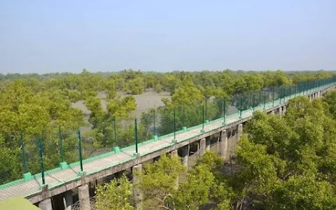 Sundarban Anjali travels | Sundarban tour & travels | Sundarban Travel Agency image