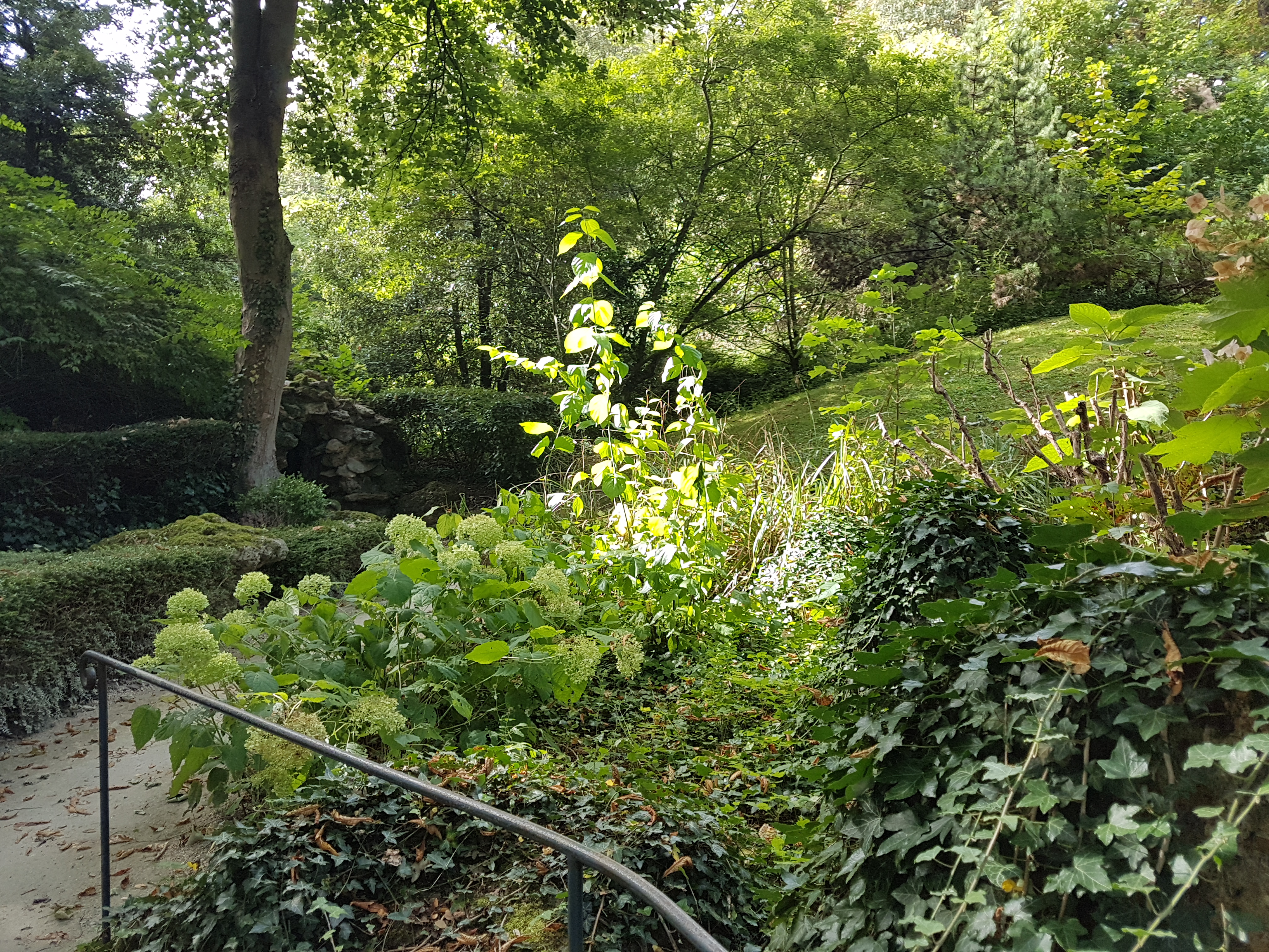 Photo n° 34 de l'avis de Jean-Pierre.i fait le 28/08/2021 à 14:11