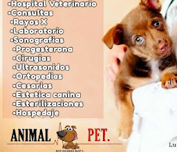 Compañia Canina suc. Petco Haciendas photo