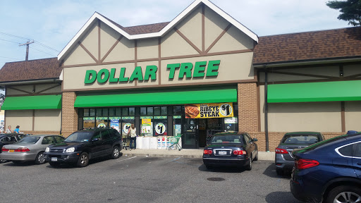 Dollar Store «Dollar Tree», reviews and photos, 250 Jericho Turnpike #80, Floral Park, NY 11001, USA