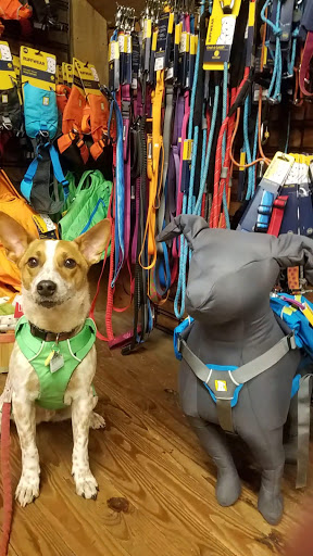 General Store «Mast Store Annex», reviews and photos, 2918 Broadstone Rd, Banner Elk, NC 28604, USA