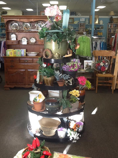 Thrift Store «American Cancer Society», reviews and photos, 2376 Grass Valley Hwy, Auburn, CA 95603, USA