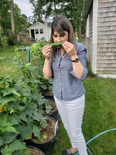 Health Food Store «Vineyard Grocer», reviews and photos, 294 State Rd, Vineyard Haven, MA 02568, USA