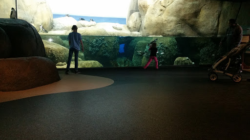 Gift Shop «Minnesota Zoo Gift Shop», reviews and photos, 13000 Zoo Blvd, Apple Valley, MN 55124, USA