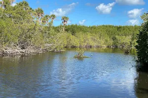 Indian River Lagoon Preserve State Park image