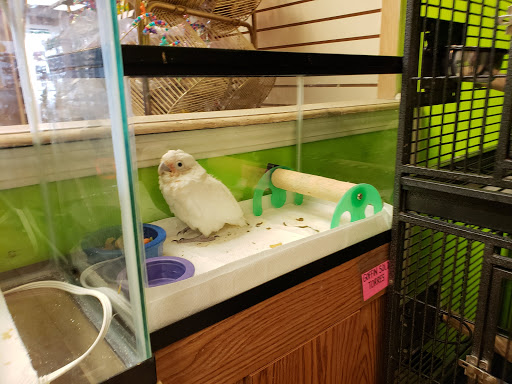 Shopping Mall «Route 18 Shopping Center», reviews and photos, 1020 NJ-18, East Brunswick, NJ 08816, USA