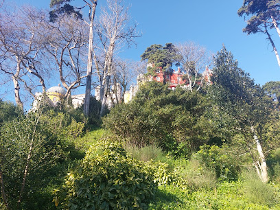 Parque e Palácio Nacional da Pena