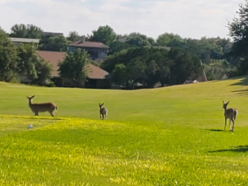 Golf Club «Point Venture Golf Club», reviews and photos, 422 Venture Blvd S, Leander, TX 78645, USA