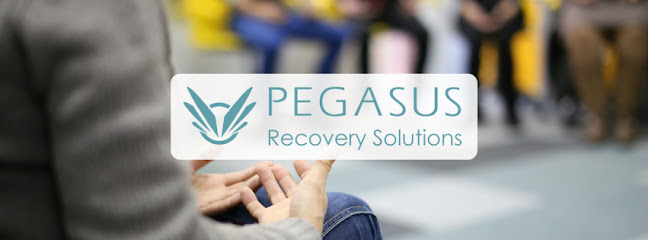 Pegasus Recovery Solutions Ltd