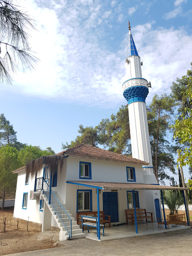 Bördübet Cami