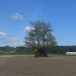 Lebanon Park (Garden Club)