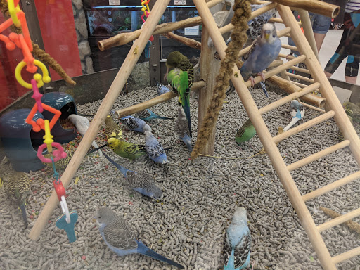 Pet Supply Store «Petco Animal Supplies», reviews and photos, 6418 S Staples St b, Corpus Christi, TX 78413, USA