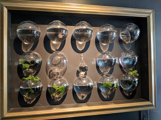 Tropical Fish Store «Manhattan Aquariums», reviews and photos, 522 W 37th St, New York, NY 10018, USA