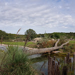 Photo n° 9 de l'avis de Yo.o fait le 02/10/2021 à 13:22 pour Le PAL Savana RESERVE à Dompierre-sur-Besbre