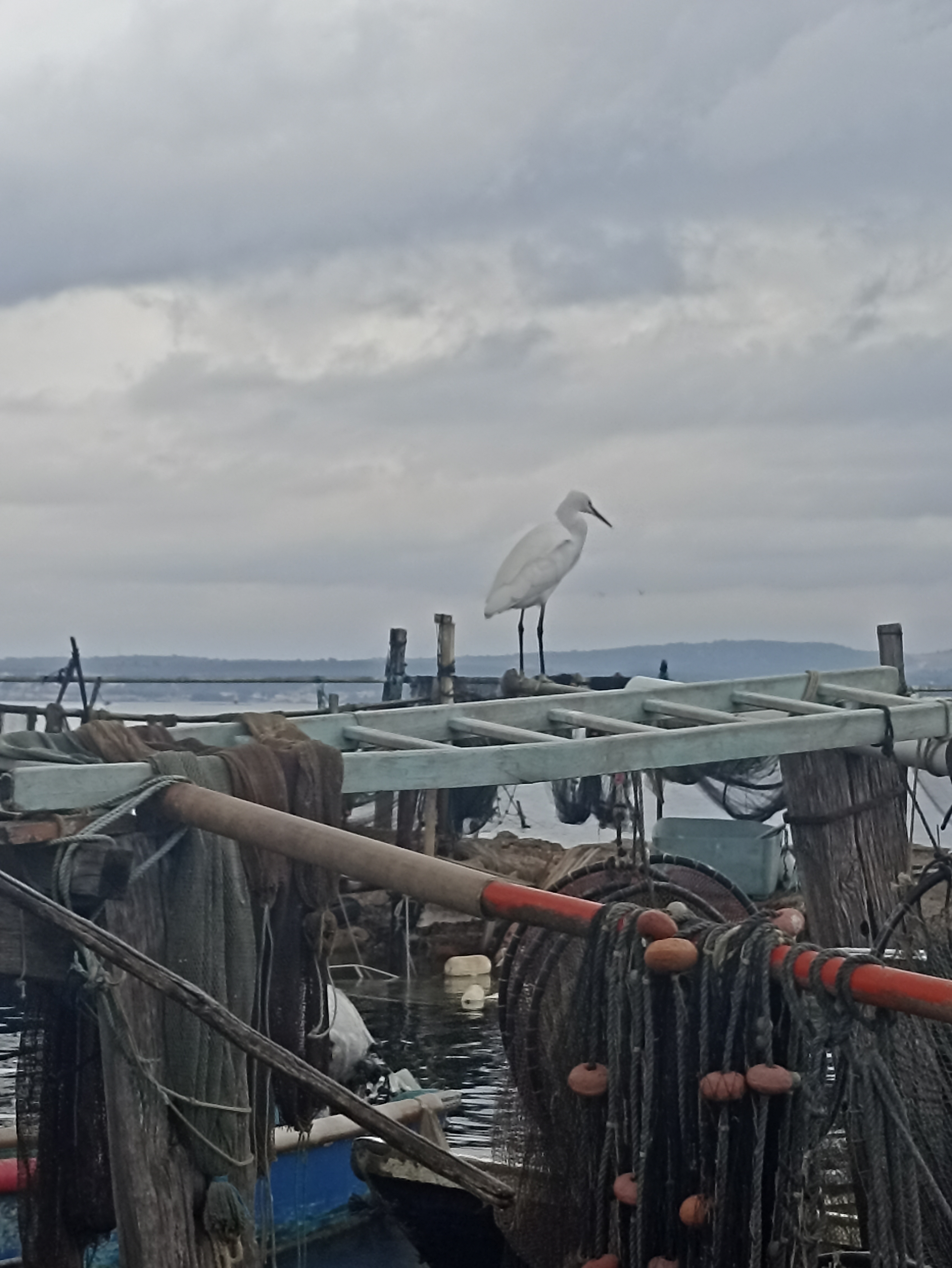 Photo n° 18 de l'avis de Laurence.a fait le 28/12/2023 à 17:41