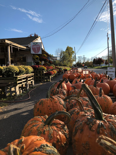 Produce Market «Stauffer Fruit Stand», reviews and photos, RR 663, Pennsburg, PA 18073, USA