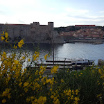 Photo n° 1 de l'avis de Clo.e fait le 02/05/2022 à 11:54 pour Restaurant Le Neptune à Collioure