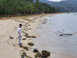Sagumi Beach'in fotoğrafı ve yerleşim