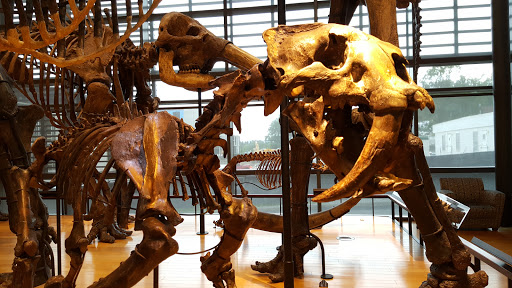 Museum «Beneski Museum of Natural History», reviews and photos, 11 Barrett Hill Rd, Amherst, MA 01002, USA