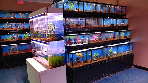 Pet Store «V.I. Pets», reviews and photos, 11975 E Lakewood Blvd, Holland, MI 49424, USA