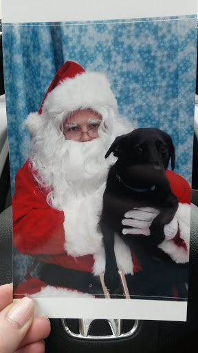 Pet Supply Store «Pet Supplies Plus», reviews and photos, 1268 N Eisenhower Dr, Beckley, WV 25801, USA