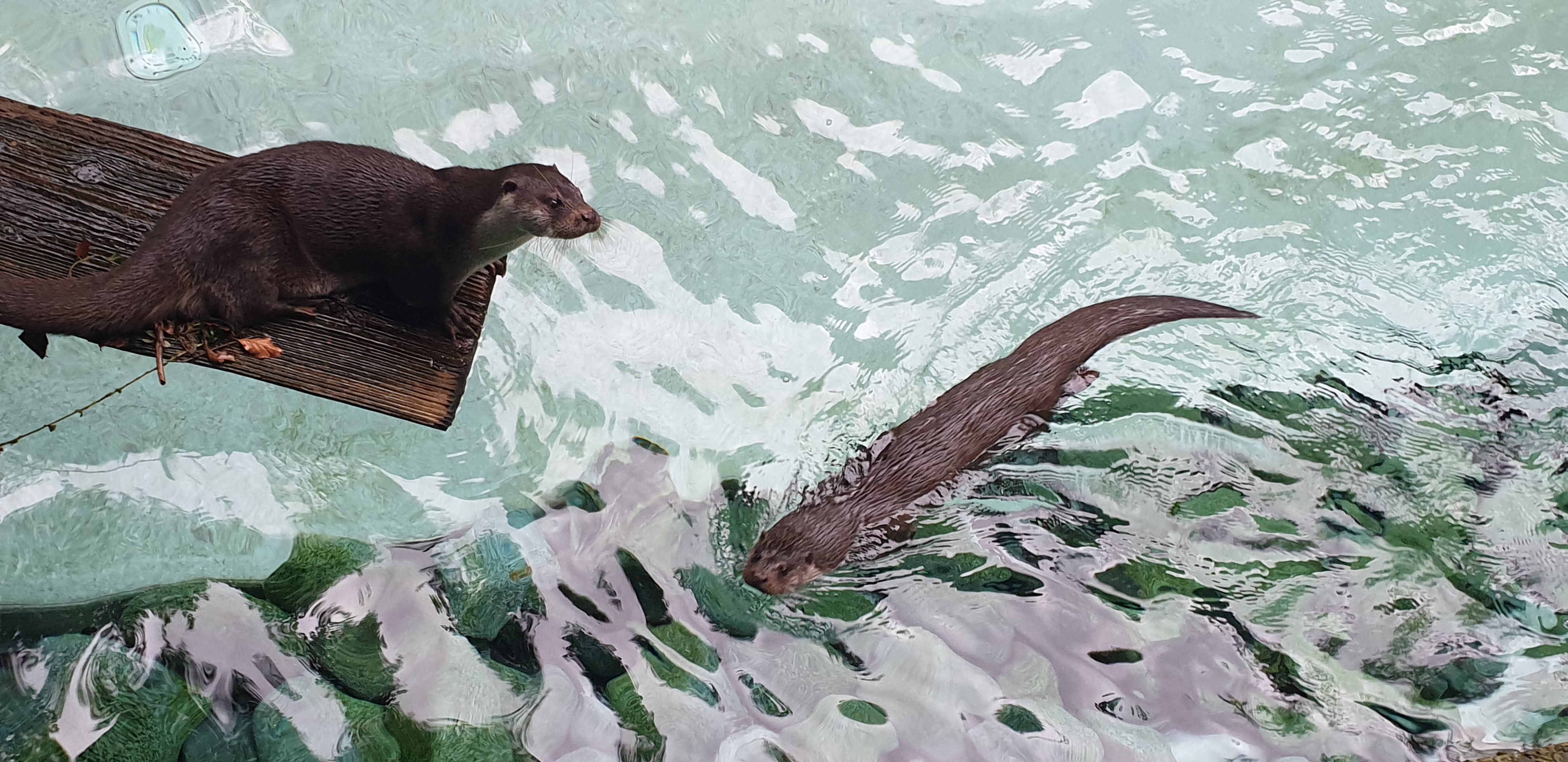 Photo n° 7 de l'avis de Maïwenn.E fait le 01/11/2023 à 12:52