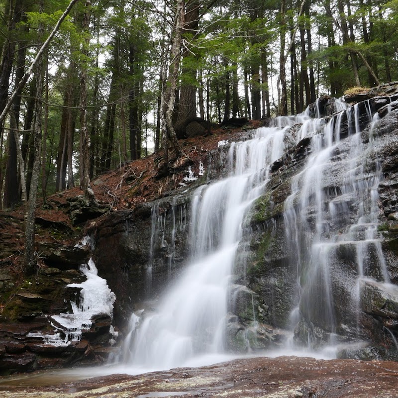 New Pocono Trust's Conservation